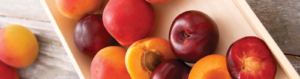 montague tree brand stone fruit